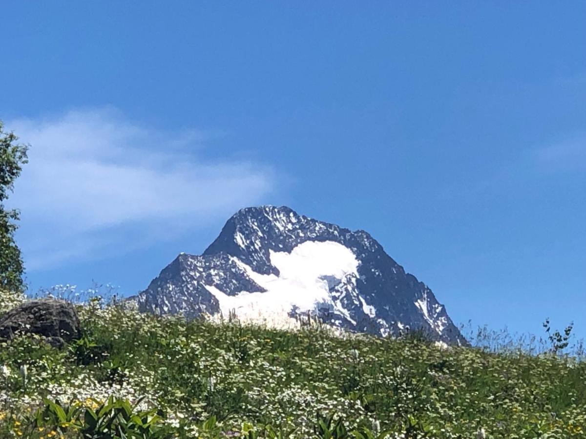 Апартаменты L'Ansloboys Montagne A2 Ле дез Альп Экстерьер фото